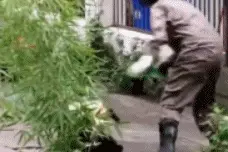 ​萌宠搞笑图第104波:你不爱我了吗？你这样很容易失去本宝宝图片