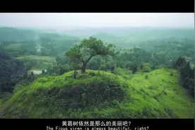 范冰冰的学生周伟豪为家乡拍摄的微电影《最美李家》图片