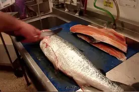 实拍国外厨师快速切片三文鱼，刀法干净利落，只留下最好的肉！图片