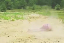 痛苦和欢乐并存的滑板失误，仿佛听到好多骨折的声音图片