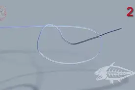 钓鱼线的多种打结的方法，看完涨姿势了！图片