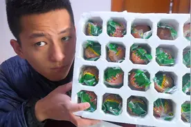 活珠子真的有大家说的那么恶心吗？我看未必视频封面