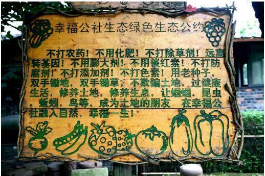 田园综合体运营模式及成功案例分析!