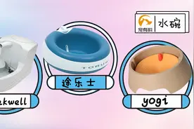 有了这三款水碗，让宠物喝个水也能成为小公举！宠物用啥好02期视频封面