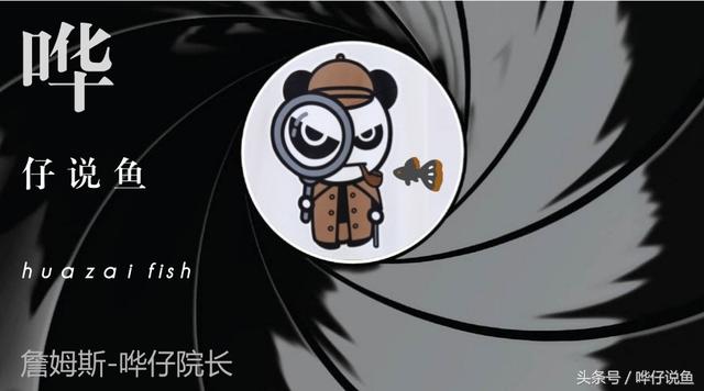 银龙鱼鳞有小点