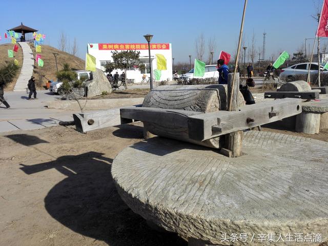 辛集植保机械展