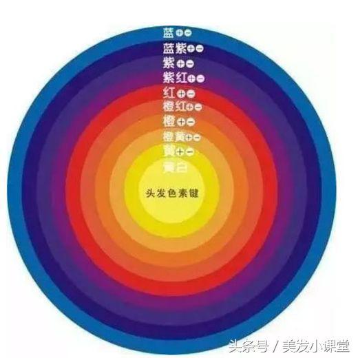 五大键 盐键，氢键，氨基键，二硫化物键，色素键的解读