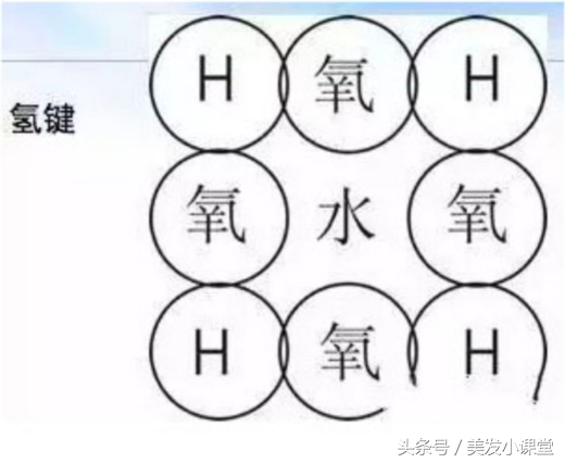 五大键 盐键，氢键，氨基键，二硫化物键，色素键的解读