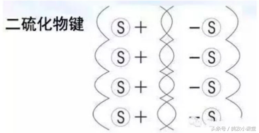 五大键 盐键,氢键,氨基键,二硫化物键,色素键的解读