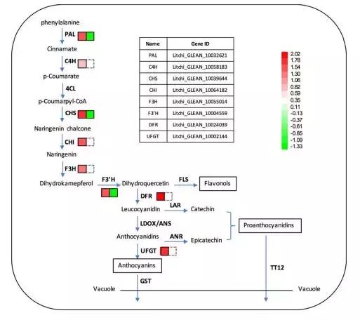 年度最新！云平台与荔枝的完美相汇