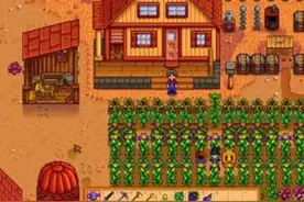 星露谷物语stardew valley避雷针放置技巧 避雷针放置位置推荐图片