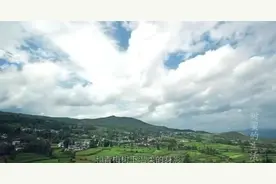 情人梅怪不得好吃，背后有个这么优美的故事，附带制作秘籍！