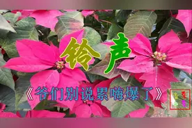 东东音乐：手机铃声《爷们别说累》，爷们撑起一片天！嗨爆了