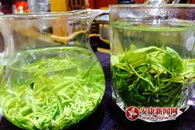 紫阳：微信卖茶正流行图片