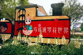 马可波罗花世界,共赴一场美的盛宴图片
