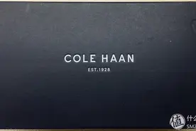 穿去上班的皮鞋？运动鞋？ 篇一：COLE HAAN 可汗 男士真皮网面板鞋图片