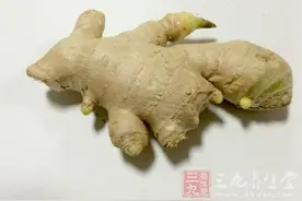 嘴里含一片它能治百病图片