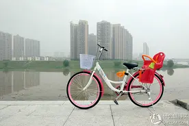 永久牌休闲菜车&Le Whisper真皮复古单车包晒单图片