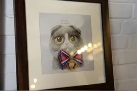 猫咪爱好者有福了 庄里开了一间喵星人主题咖啡馆图片