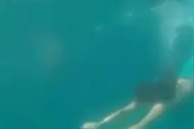 女大学生扮美人鱼赚学费 每小时挣将近900元视频封面