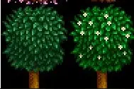 星露谷物语stardew valley苹果树怎么种 苹果树要浇水吗图片