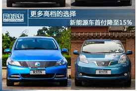 更多高档的选择 新能源车首付降至15%图片