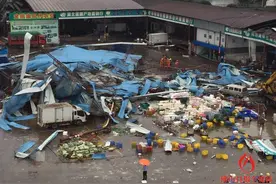 9级狂风席卷禅城扶西市场 私家车被吹翻图片