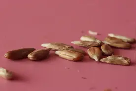 永远不要低估一个吃货，两根筷子做一个剥瓜子神器，吃的好爽视频封面