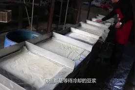 小作坊大收益，传统手工豆腐作坊，年收入竟然超50万视频封面