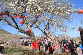 抚顺有个梨花谷图片