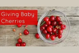 宝贝食材：樱桃图片