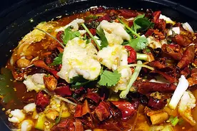 谁动了我的鲨鱼肉图片