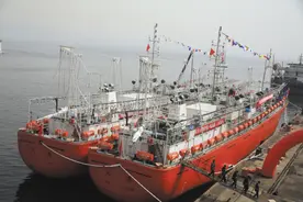 两艘千吨级鱿鱼钓船大连首航图片