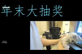 王思聪直播玩猫？你能猜出这是什么猫吗？