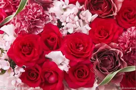 手机尾号里什么数多金，促进事业兴隆财源滚滚而来图片