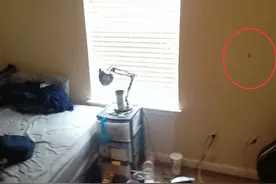 男子家中突然出现很多奇怪的小洞，弄清原因之后让他想马上搬家！图片