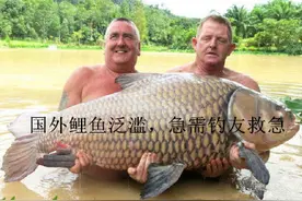 鲤鱼中钩后不肯就范的四大绝招图片