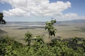 ［旅行分享20］2011非洲坦桑尼亚自由行：风景和动物篇图片