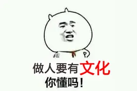 懂机|刷机没完了，现在究竟有几大手机系（U）统（I）？图片