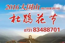 浏阳大围山杜鹃花海已绽放，赏花正当时！图片