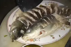 农村一道清蒸草鱼，这样做鲜嫩高效，5分钟出锅非常简单一看就会视频封面