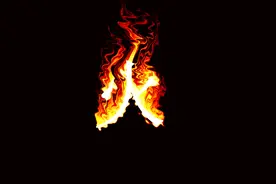 肥西卖完这2地，房价又要涨？传世茂文一等10家房企将厮抢图片