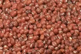 利尿缓解水肿 食用赤小豆图片