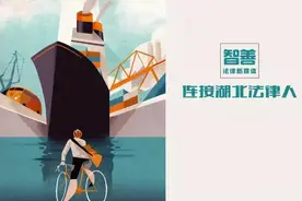 湖北省律师办理医疗损害责任纠纷案件操作指引（试行）图片