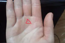 知道吗？看掌纹知健康图片