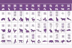 佛教中三十六生肖属相解析图片