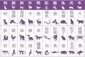 佛教中三十六生肖属相解析图片
