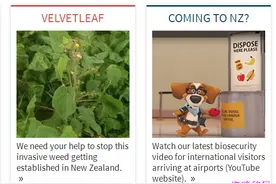 移民新西兰出入境须知及相关注意事项一览！图片