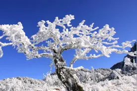 独家首发 ▏铁热沁夫 - 金佛山雪花飘落的声音图片
