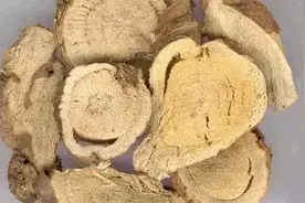 能清热燥湿，杀虫利尿的大苦良药——苦参图片